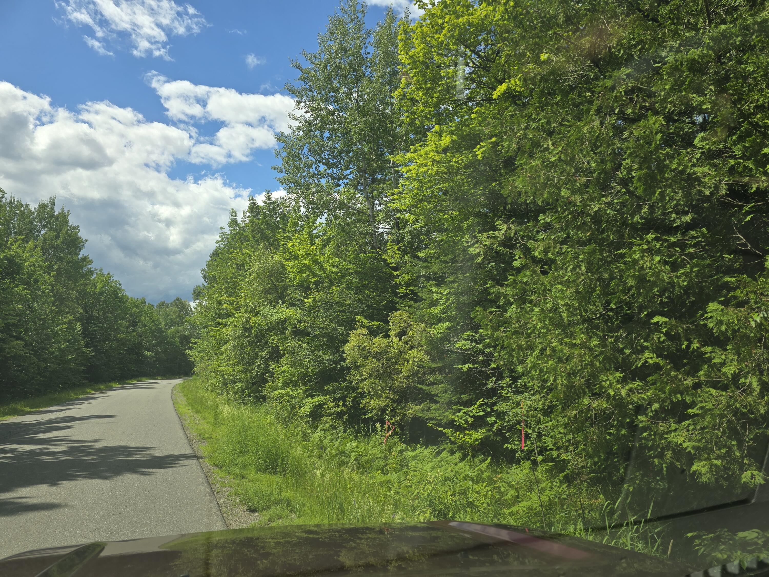 0 Oliver Hill Road Garland, ME 04939 - Photo 2 of 12 20240627_141929