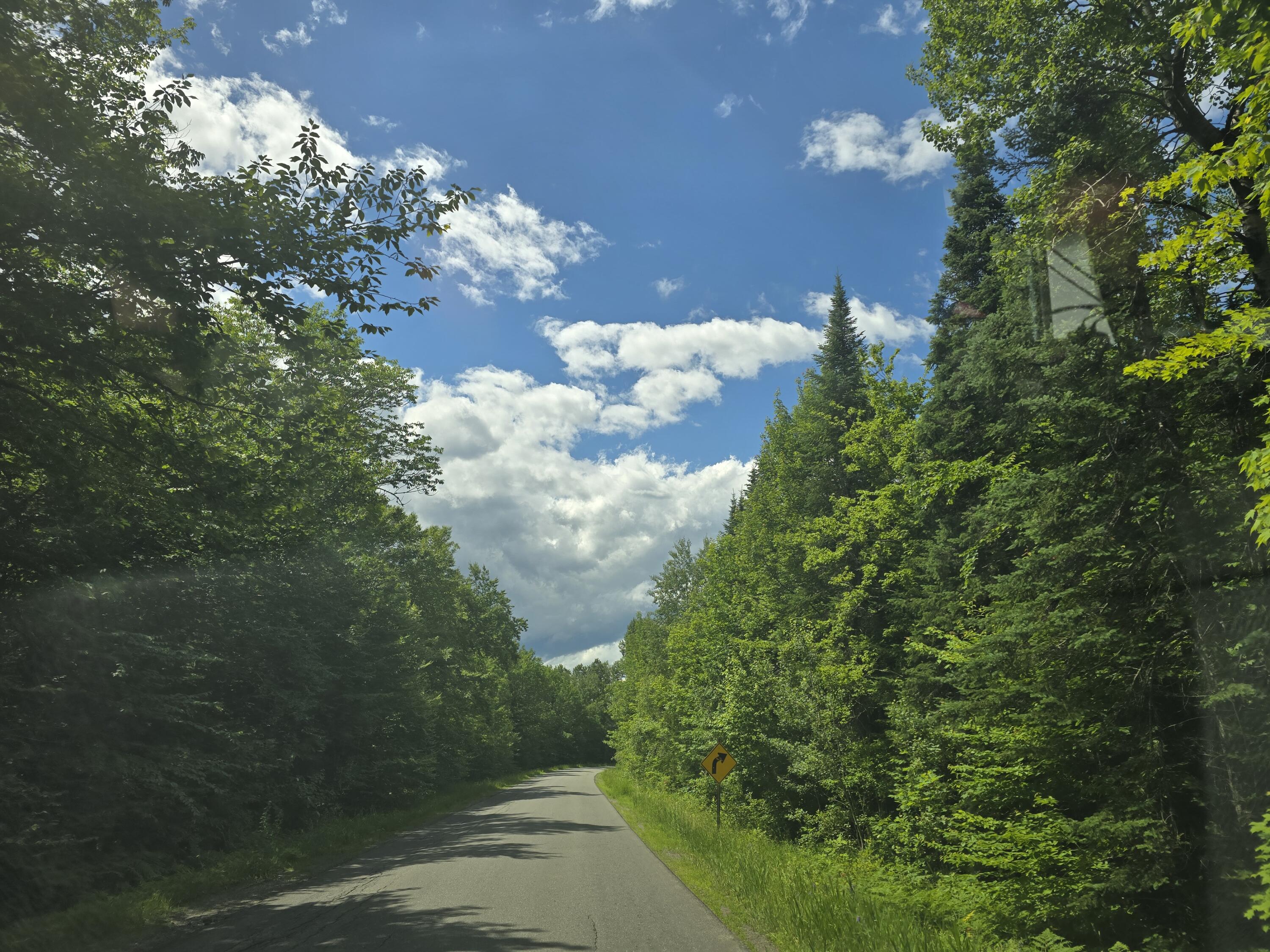 0 Oliver Hill Road Garland, ME 04939 - Photo 4 of 12 20240627_141919