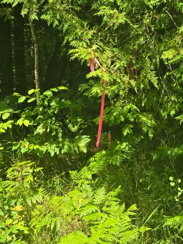 $55,000 | 0 Oliver Hill Road, Garland, ME 04939