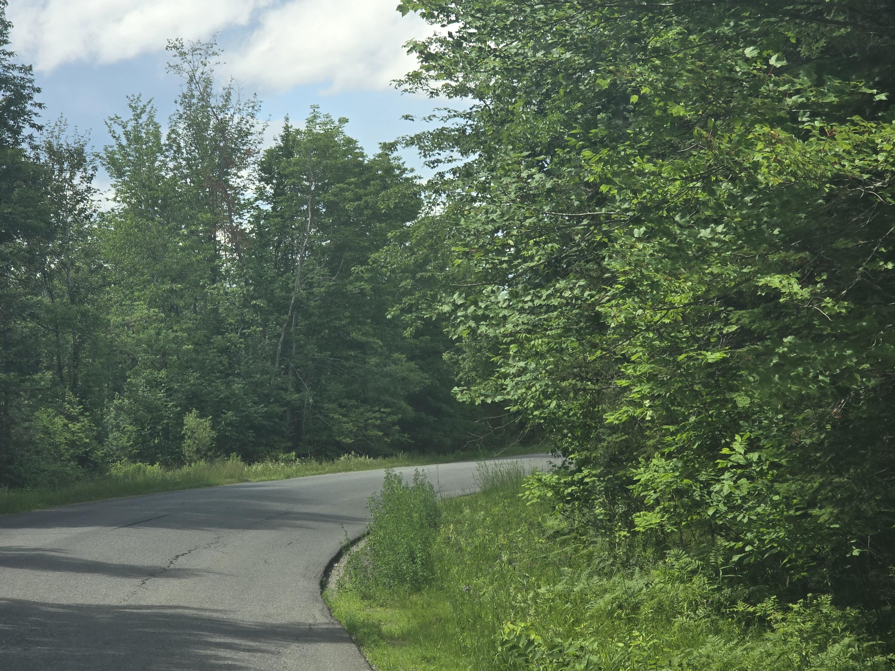 0 Oliver Hill Road Garland, ME 04939 - Photo 6 of 12 20240627_142007