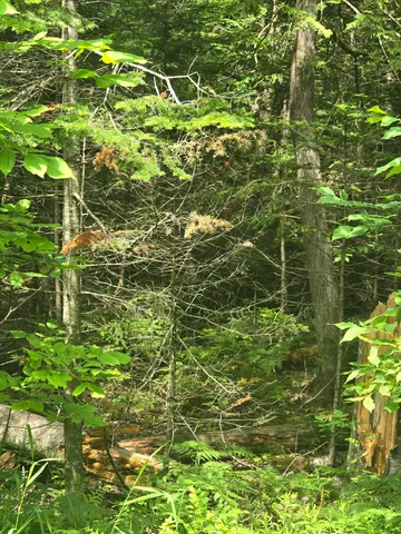 $55,000 | 0 Oliver Hill Road, Garland, ME 04939