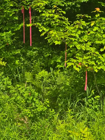 $55,000 | 0 Oliver Hill Road, Garland, ME 04939