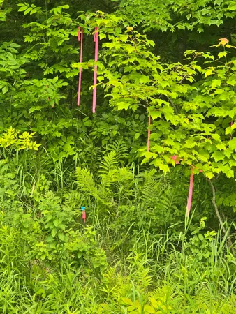 $55,000 | 0 Oliver Hill Road, Garland, ME 04939