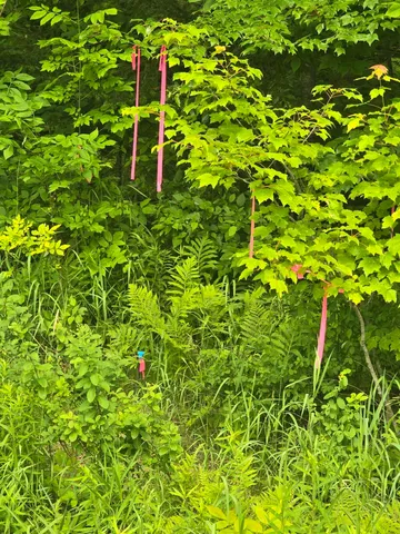 $55,000 | 0 Oliver Hill Road, Garland, ME 04939