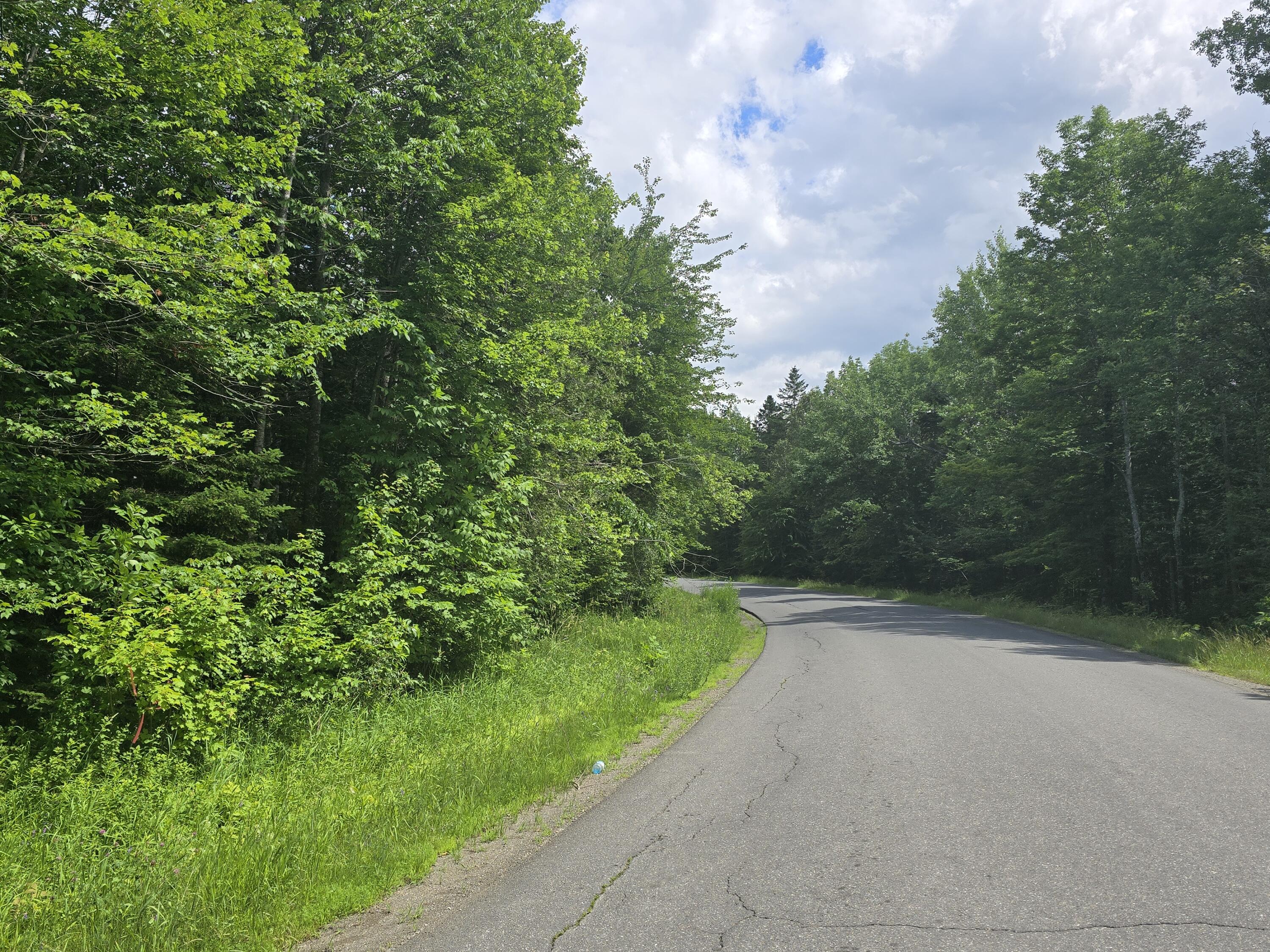 0 Oliver Hill Road Garland, ME 04939 - Photo 10 of 12 20240627_142108