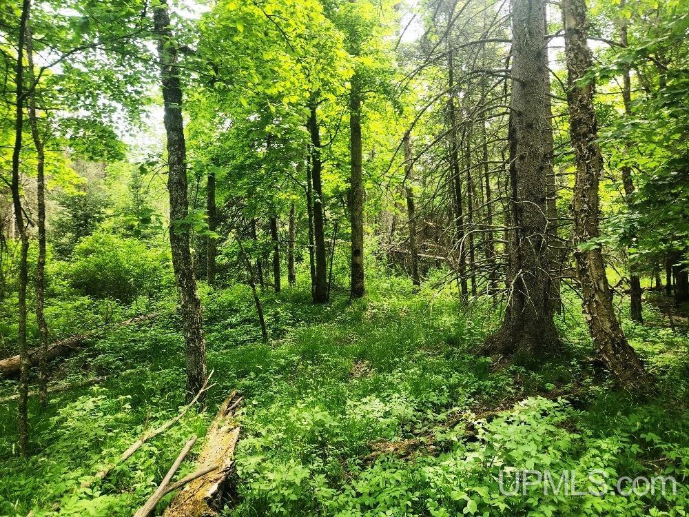 Lot 5 Wilderness Way Road Crystal Falls, MI 49920 - Photo 11 of 25