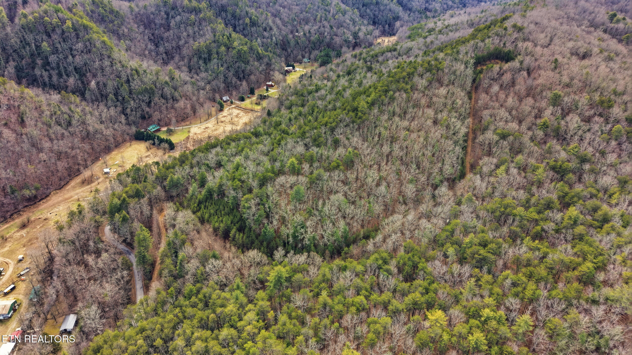 Creek Road Tellico Plains, TN 37385 - Photo 4 of 9 010_VNNK