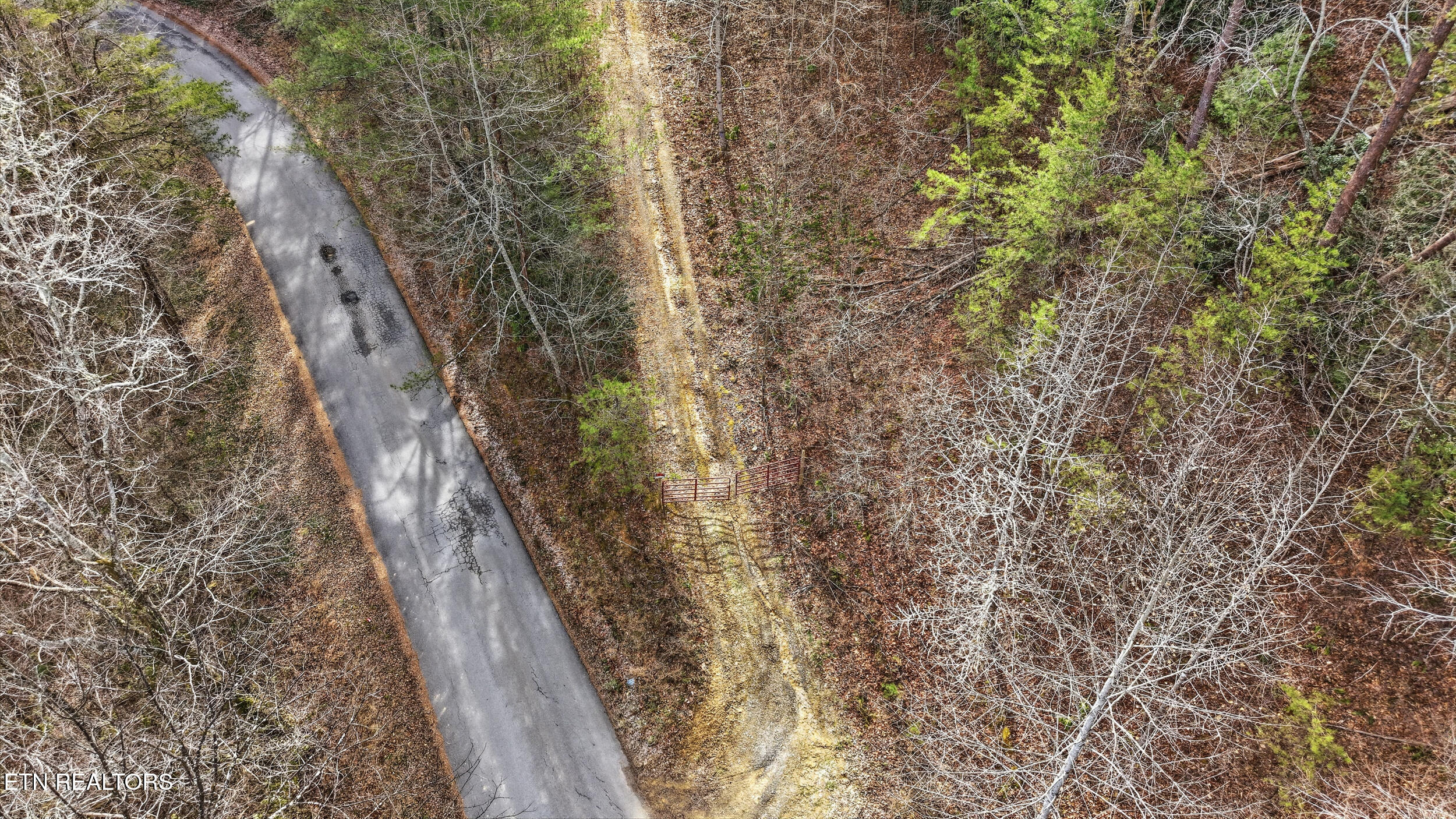Creek Road Tellico Plains, TN 37385 - Photo 7 of 9 007_Dyen