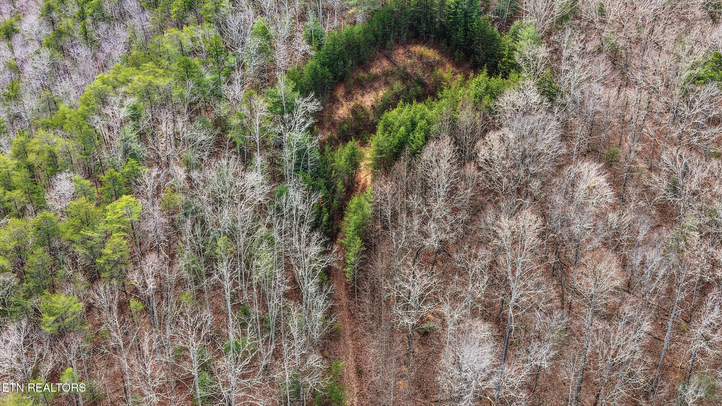 Creek Road Tellico Plains, TN 37385 - Photo 8 of 9 006_r9AV