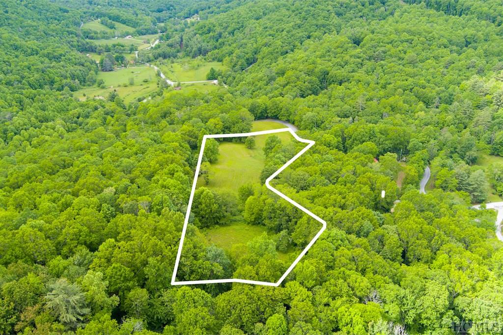 Tbd Bee Tree Road Glenville, NC 28736 - Photo 10 of 26 Gallery Image 10
