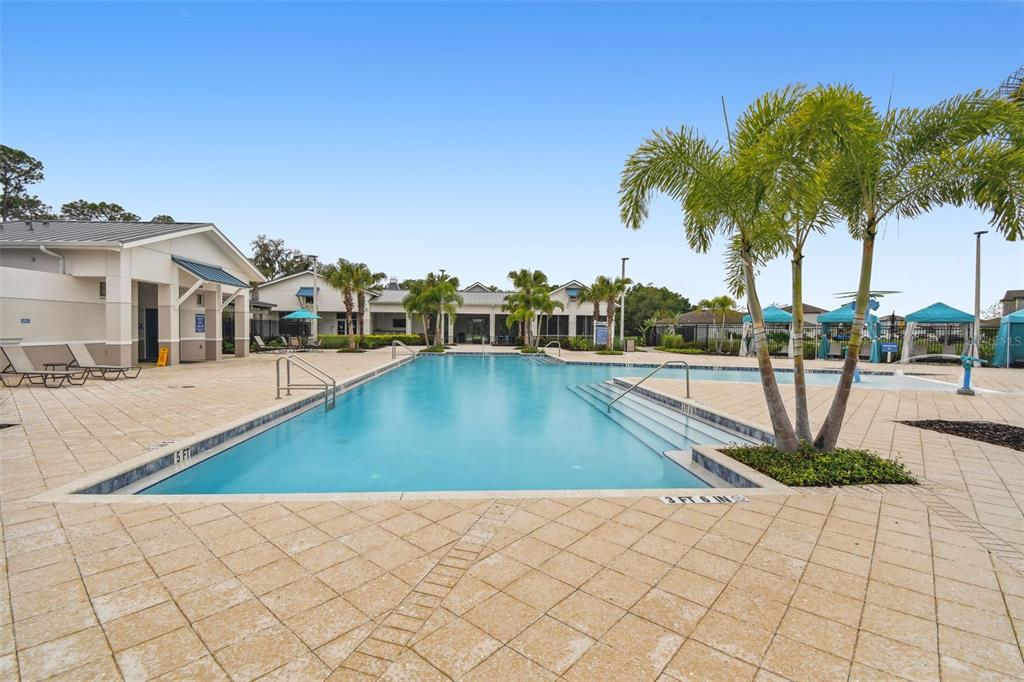 8207 Abalone Loop Palmetto, FL 34221 - Photo 32 of 37 a view of a swimming pool with a lounge chair