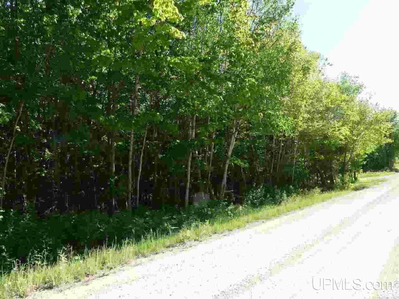 No # East No Road Grand Marais, MI 49839 - Photo 10 of 12