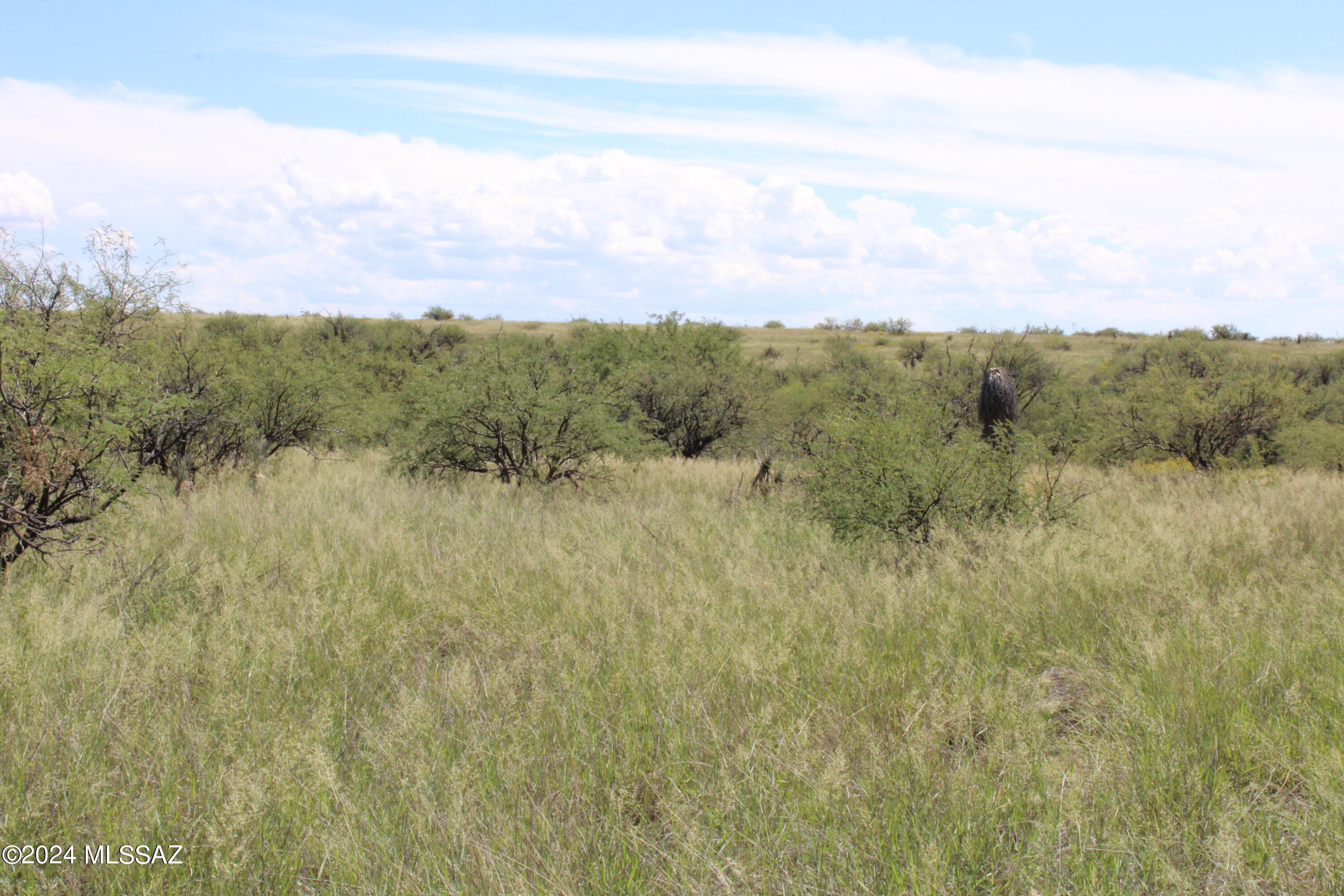 Tbd East Naiche Road, Unit 56 St. David, AZ 85630 - Photo 7 of 17