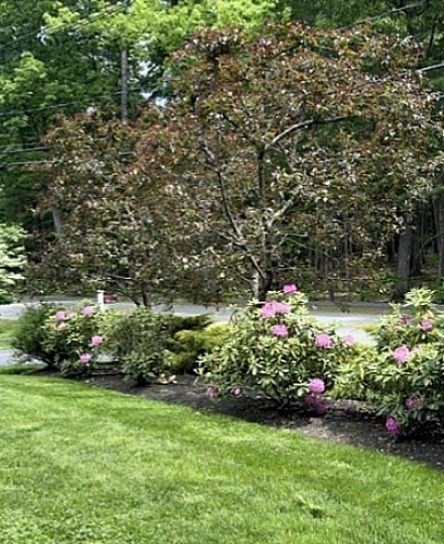 54 Pope Road Acton, MA 01720 - Photo 36 of 42