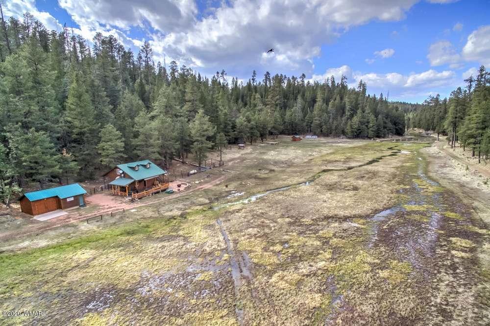 185 Fs Road Forest Lakes, AZ 85931 - Photo 4 of 13