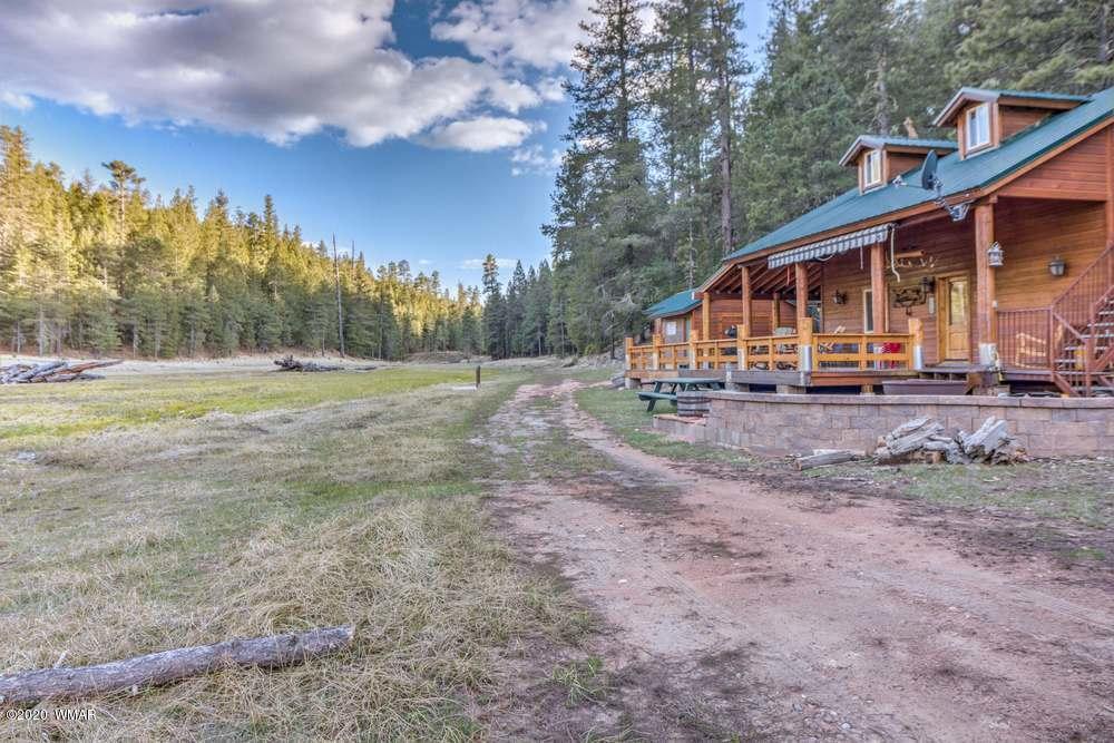185 Fs Road Forest Lakes, AZ 85931 - Photo 6 of 13