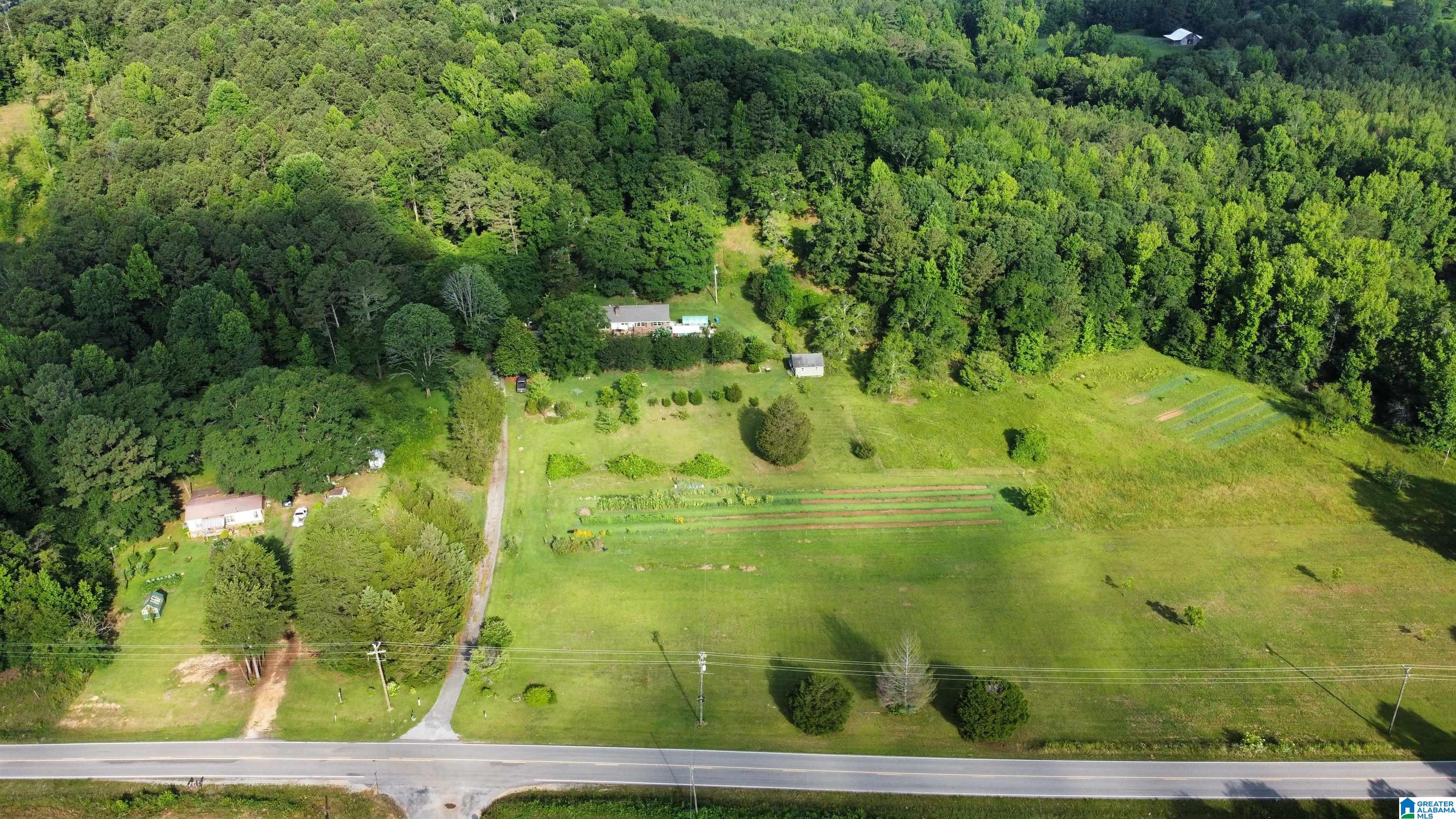 1505 Camp Creek Road Cropwell, AL 35054 - Photo 42 of 48