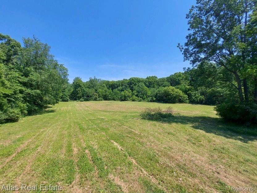 8251 East Baldwin Road Goodrich, MI 48438 - Photo 5 of 30