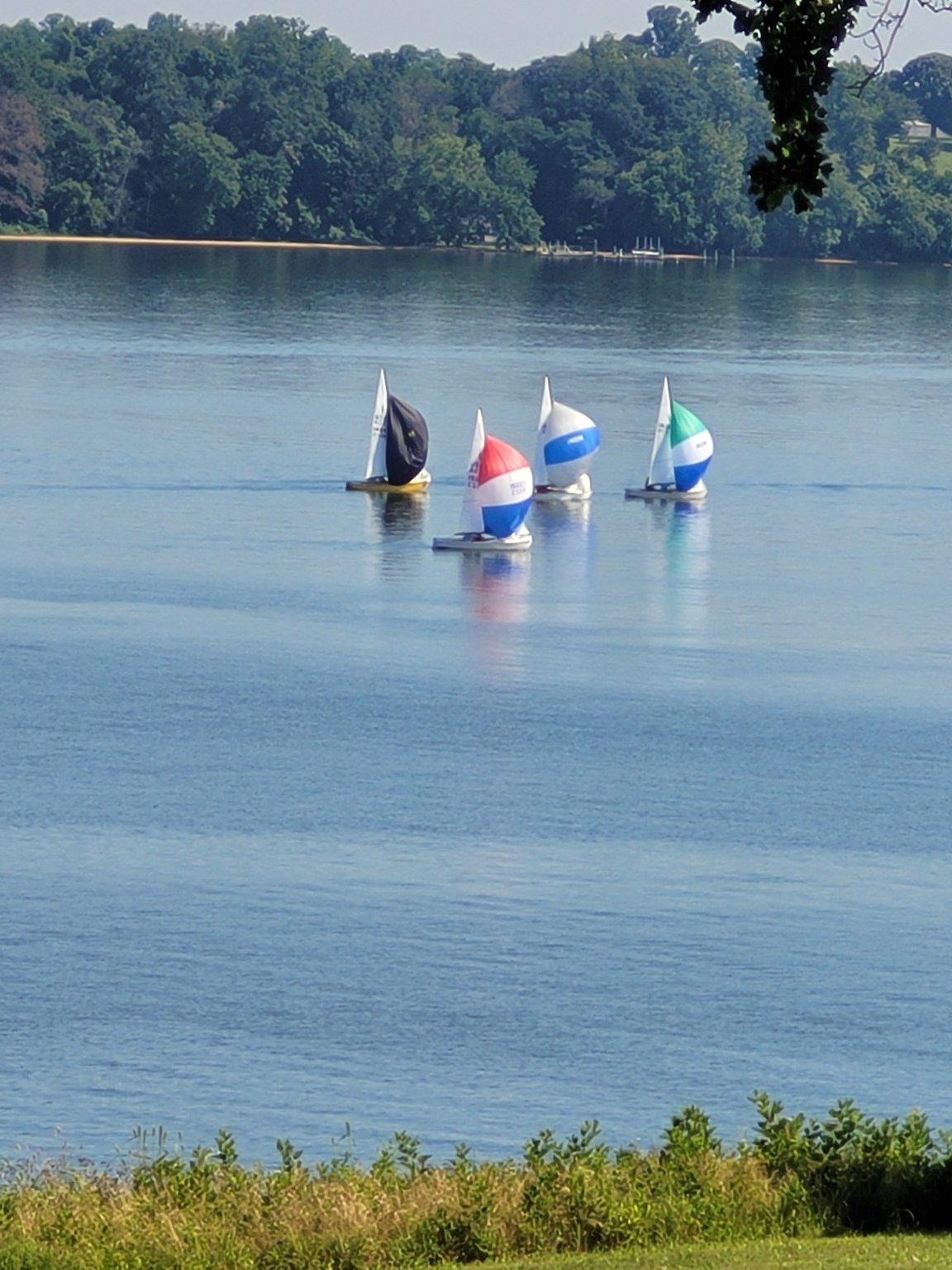 14136 Kentmore Park Road Kennedyville, MD 21645 - Photo 40 of 54 Sailboat races on the Sassafras River