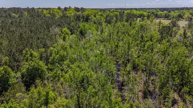 $725,000 | 1296 Risher Mountain Road, Walterboro, SC 29488