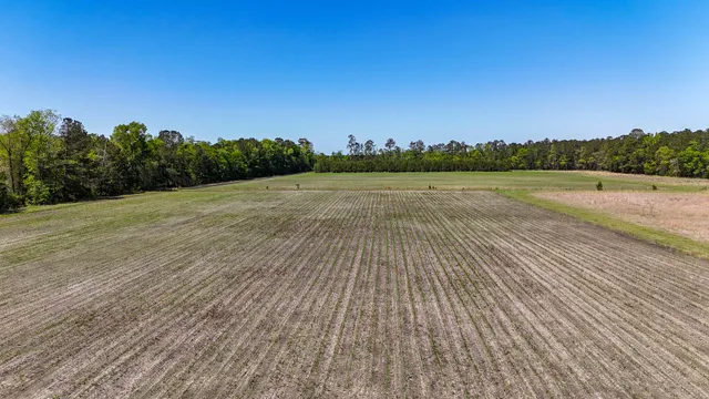 $725,000 | 1296 Risher Mountain Road, Walterboro, SC 29488