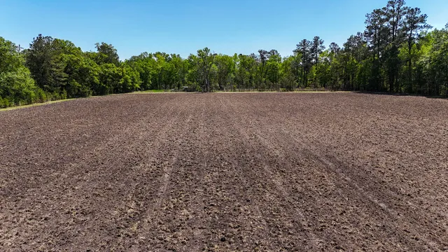 $725,000 | 1296 Risher Mountain Road, Walterboro, SC 29488