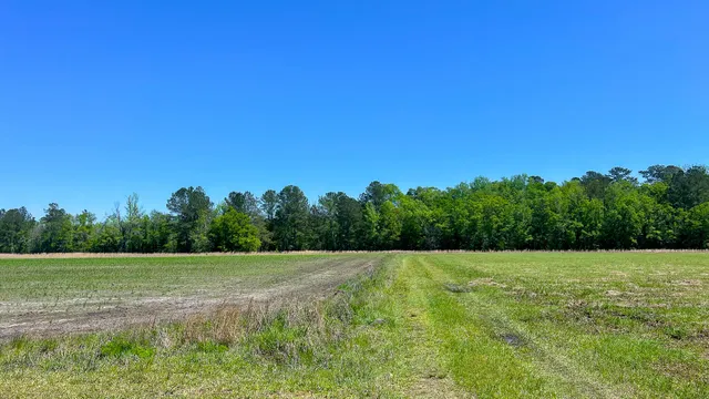 $725,000 | 1296 Risher Mountain Road, Walterboro, SC 29488