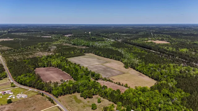 $725,000 | 1296 Risher Mountain Road, Walterboro, SC 29488
