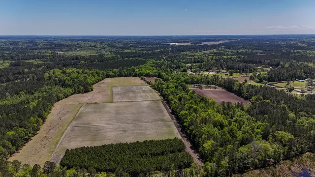 $725,000 | 1296 Risher Mountain Road, Walterboro, SC 29488