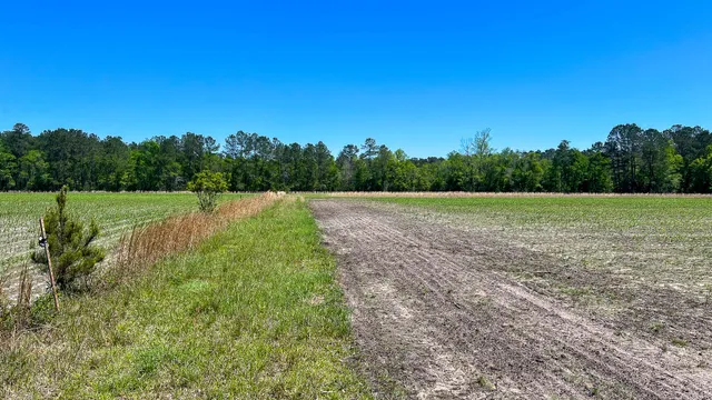 $725,000 | 1296 Risher Mountain Road, Walterboro, SC 29488
