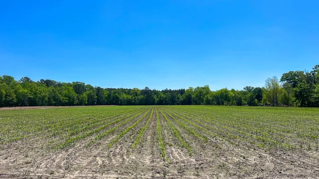 $725,000 | 1296 Risher Mountain Road, Walterboro, SC 29488