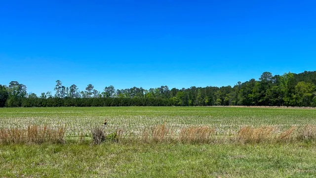 $725,000 | 1296 Risher Mountain Road, Walterboro, SC 29488