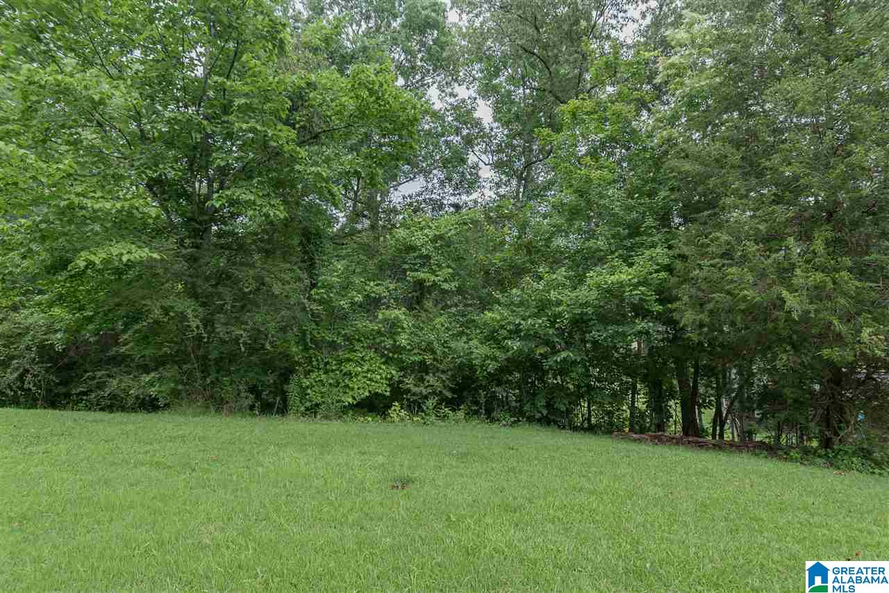 3110 County Road 39 Chelsea, AL 35043 - Photo 46 of 48