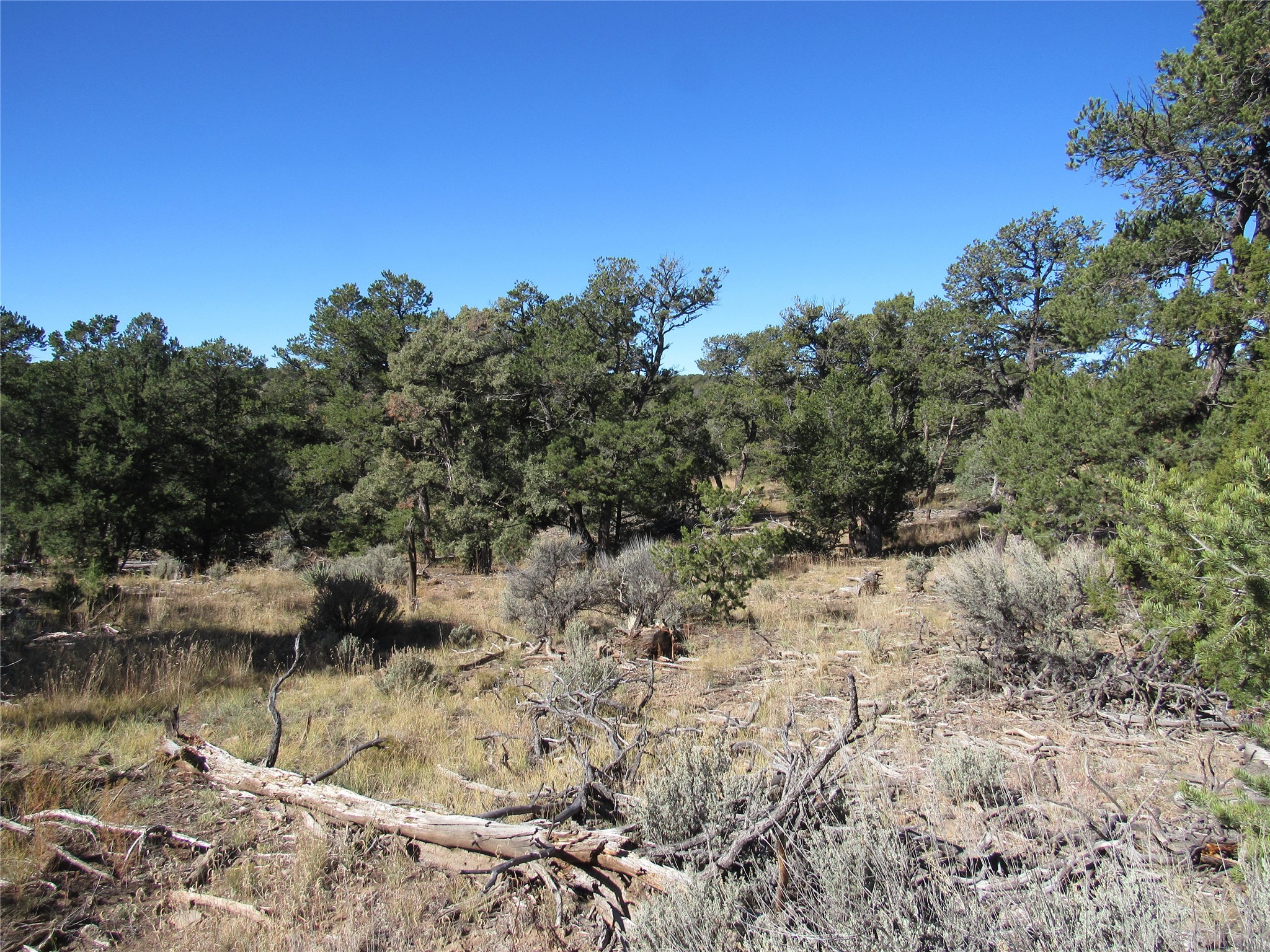 Lot 57 Servilleta Carson, NM 87517 - Photo 4 of 10