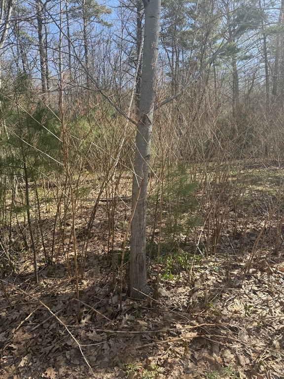 0 Camp Road Orange, MA 01364 - Photo 7 of 8