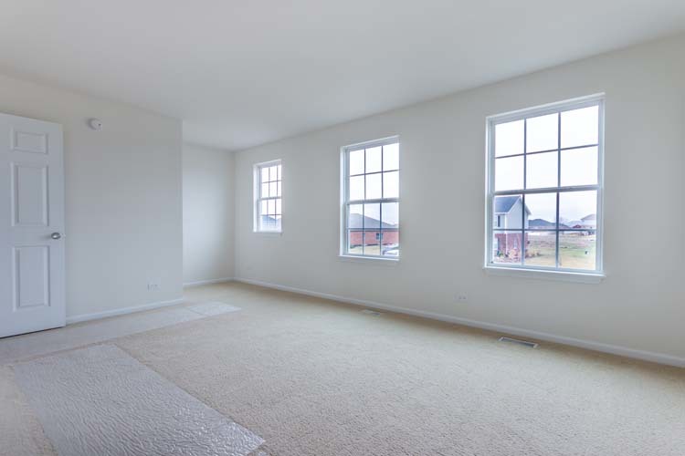 933 Willow Road Manteno, IL 60950 - Photo 18 of 20 an empty room with windows