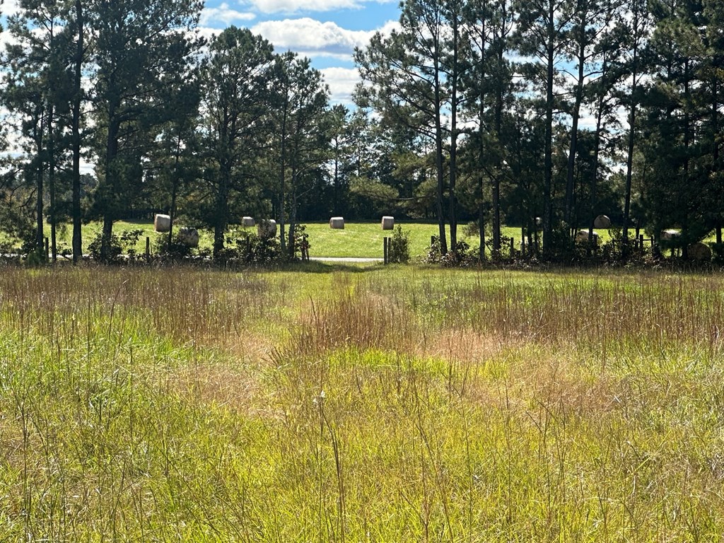 0 Highway 39 Chappells, SC 29037 - Photo 20 of 33 Gallery Image 20