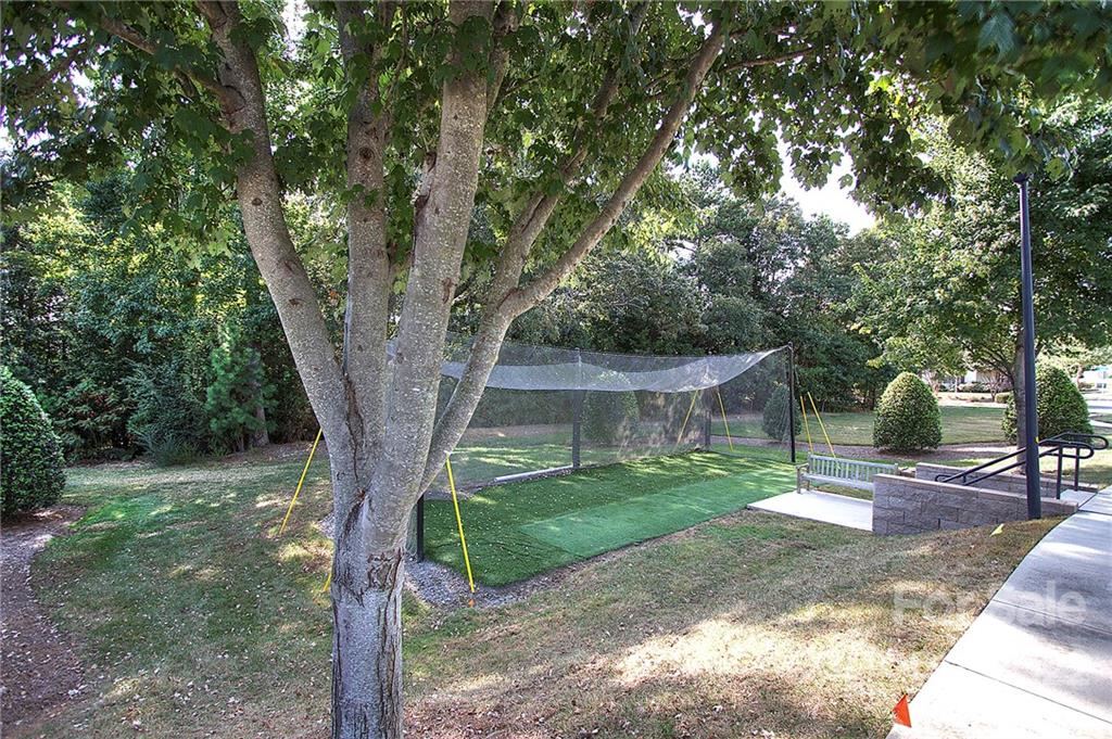 256 Garnet Court Fort Mill, SC 29708 - Photo 33 of 34 a view of a trees in a yard with large tree