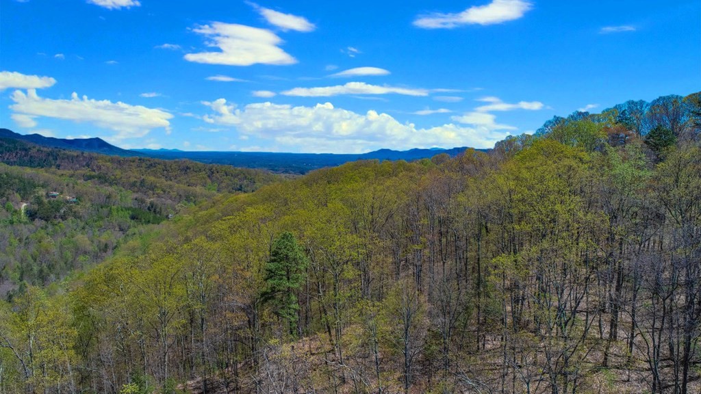 1975 Yellow Springs Road Cosby, TN 37722 - Photo 26 of 34 Gallery Image 26