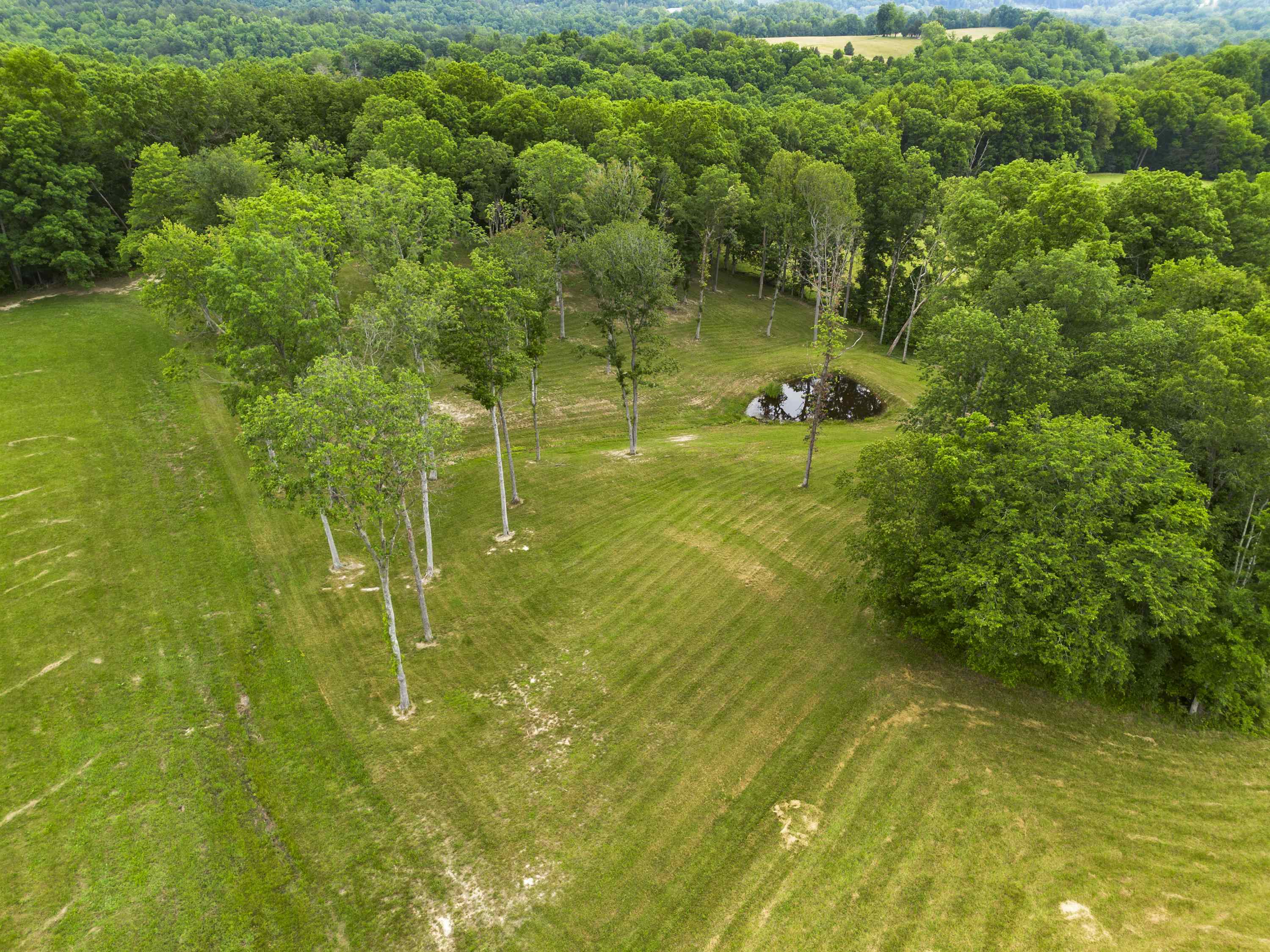 0 Salem Road Grayson, KY 41143 - Photo 4 of 25