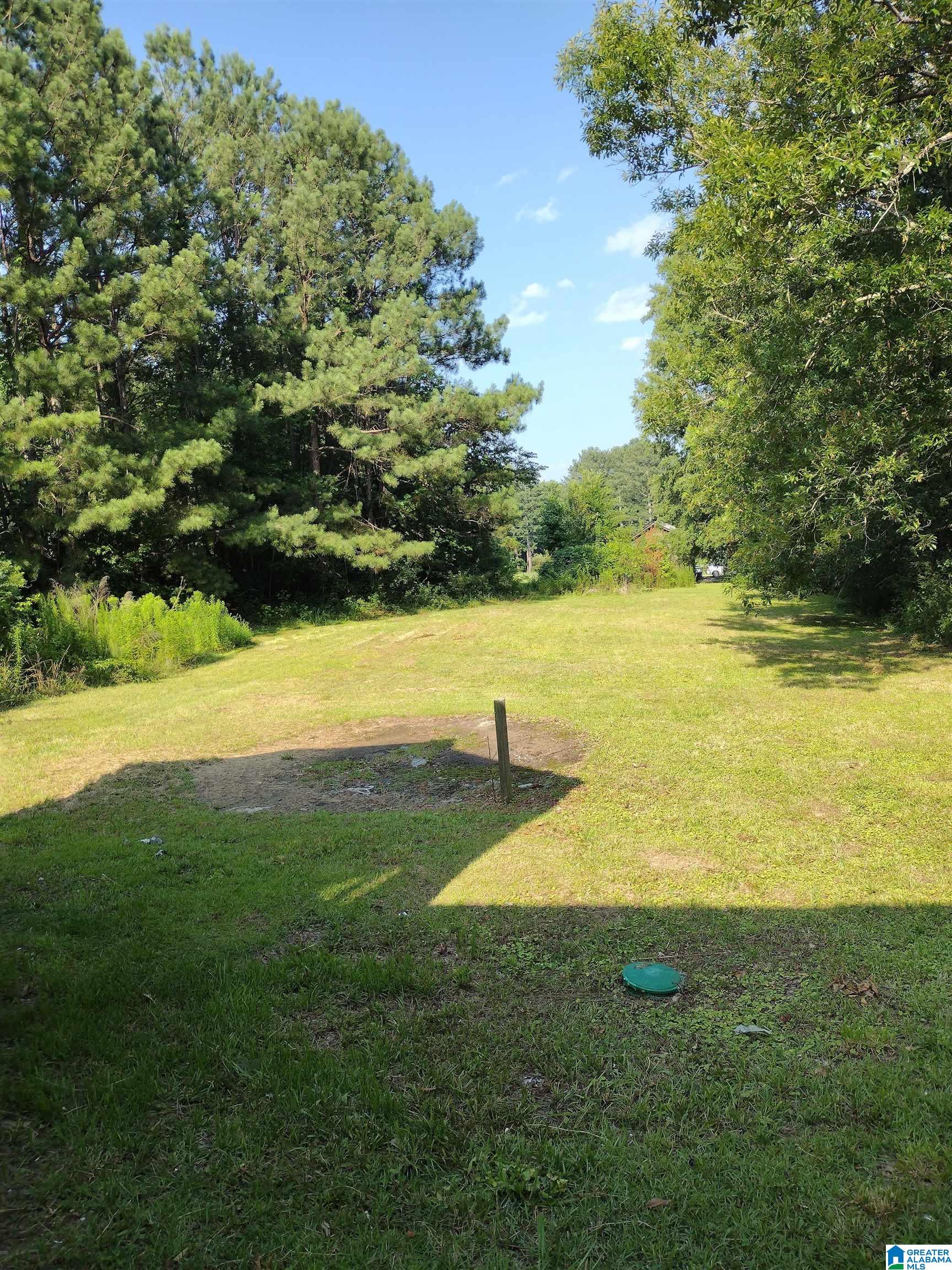 807 Rock Ridge Road Weaver, AL 36277 - Photo 48 of 50