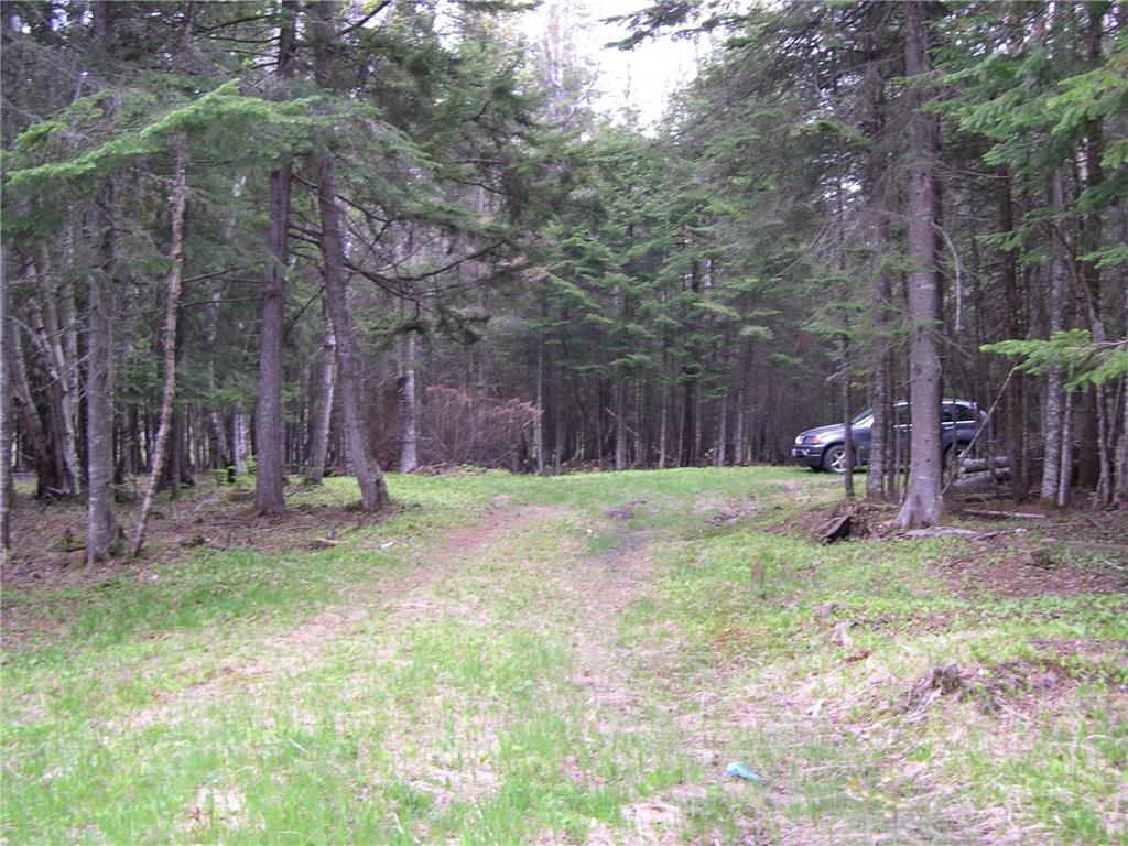 90 Hernborg Road Rangeley, ME 04970 - Photo 11 of 12 driveway