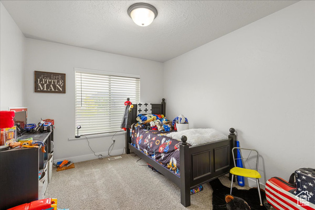 464 South Trejo Rdg Road Grantsville, UT 84029 - Photo 17 of 33 Bedroom with carpet, baseboards, and a textured ceiling