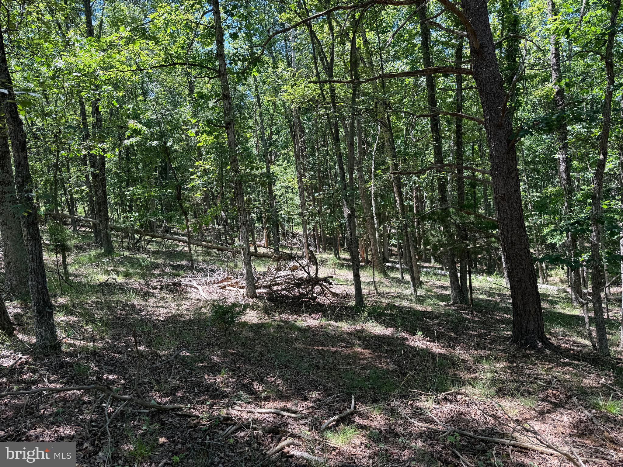 511 Chickadee Road Purgitsville, WV 26852 - Photo 43 of 99