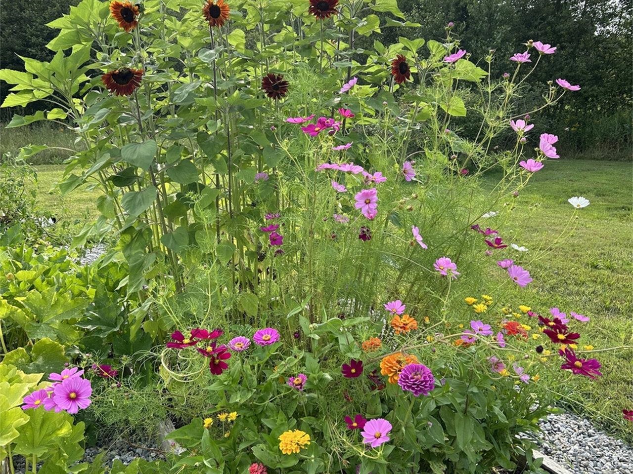 254 McNall Road Fairfax, VT 05454 - Photo 58 of 59 Gallery Image 58