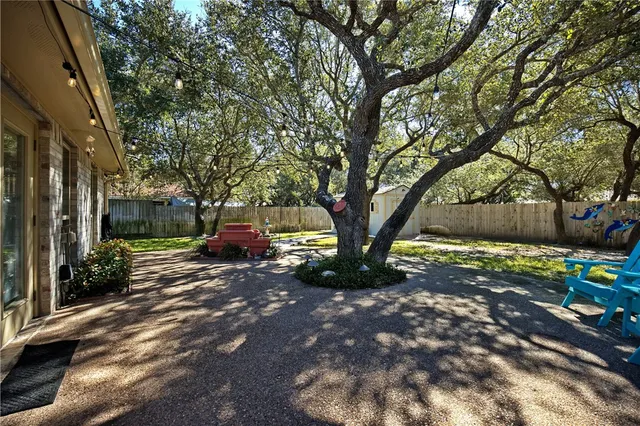 a view of a yard with a tree and a table