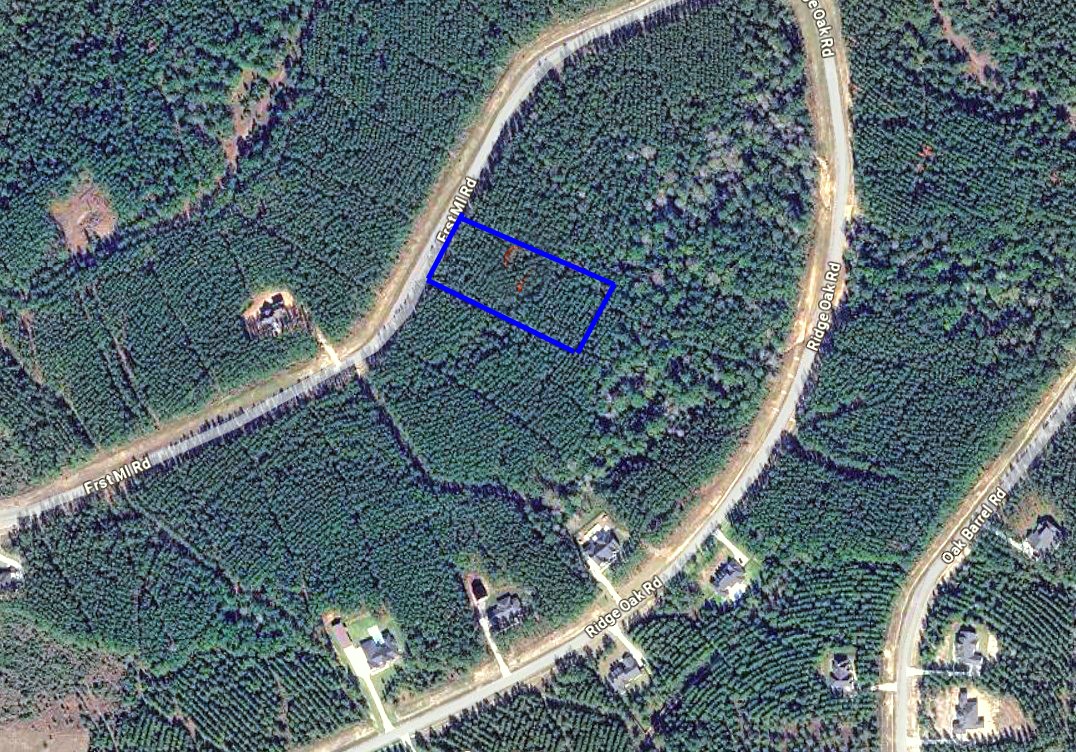 16049 Forest Mill Road Willis, TX 77378 - Photo 4 of 23