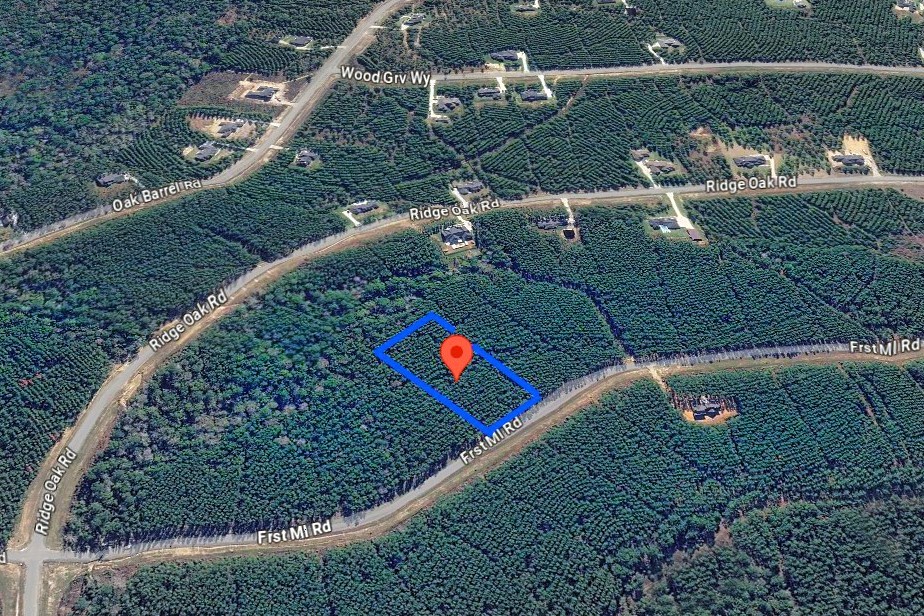 16049 Forest Mill Road Willis, TX 77378 - Photo 5 of 23