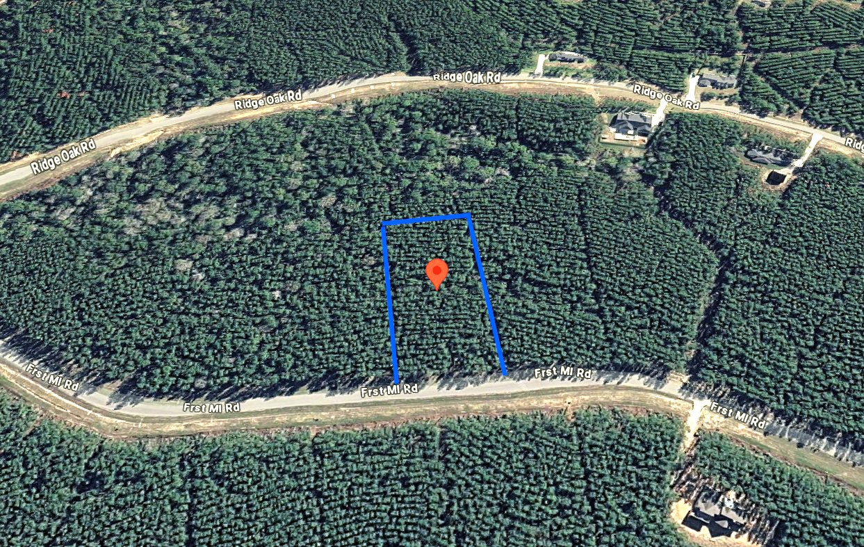 16049 Forest Mill Road Willis, TX 77378 - Photo 6 of 23