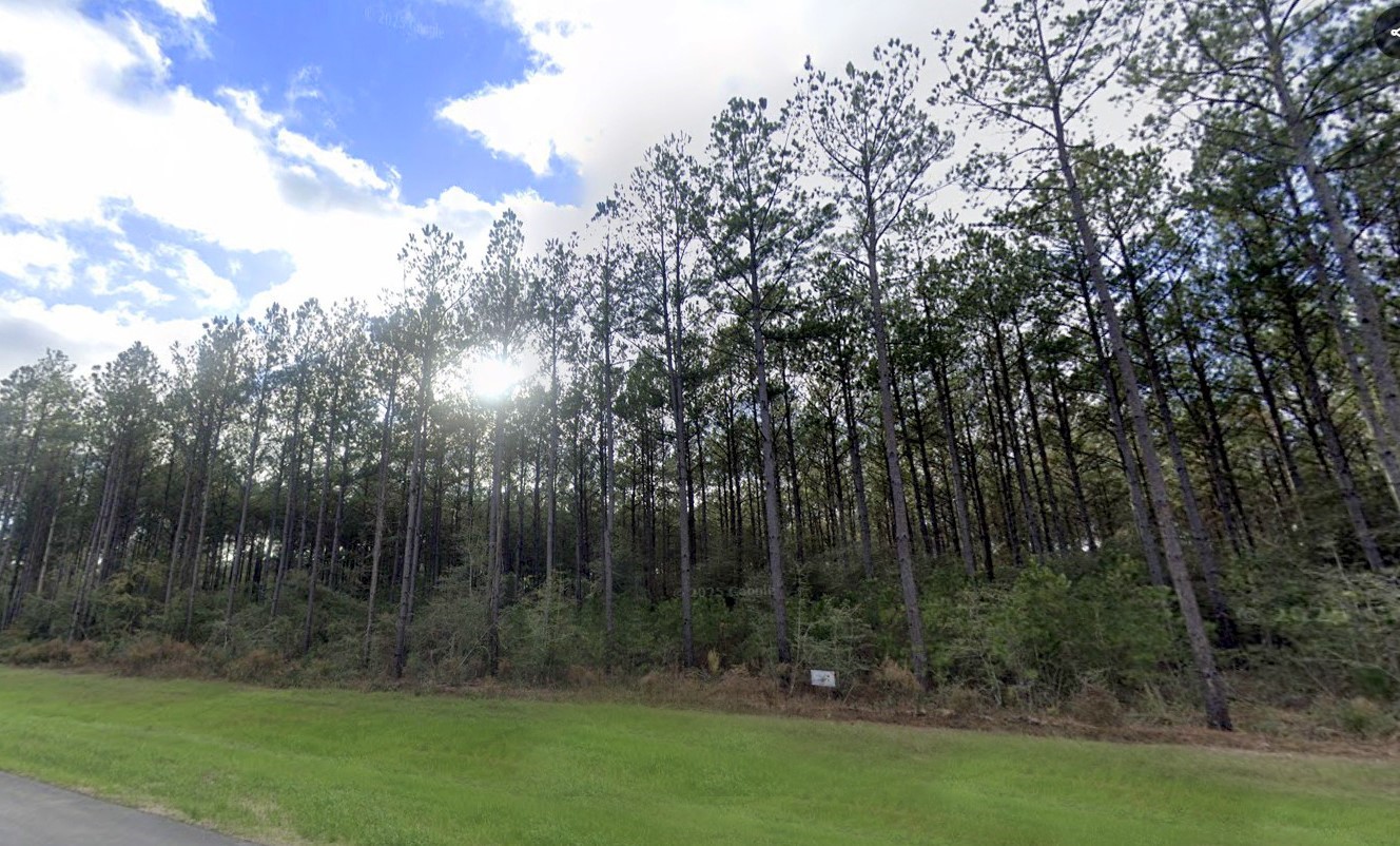 16049 Forest Mill Road Willis, TX 77378 - Photo 7 of 23